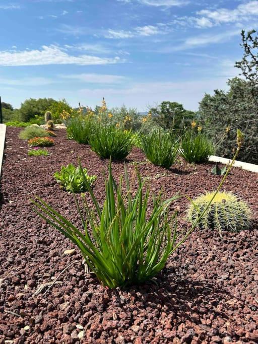 Sous Le « Figuier » Cornillon-Confoux Exterior foto